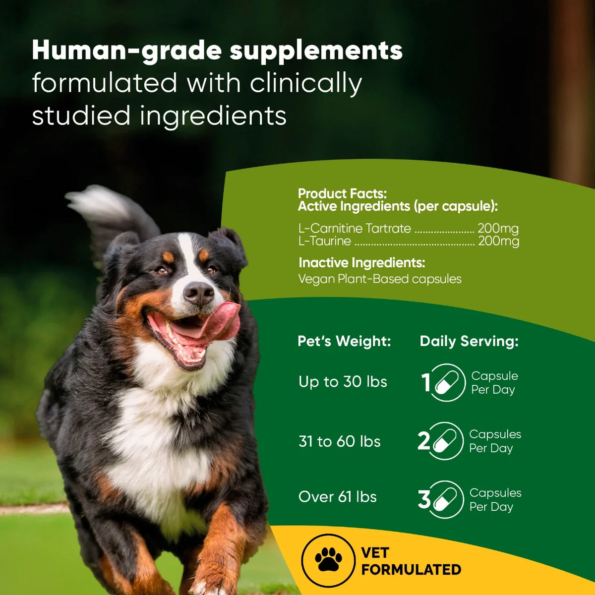 Rooted Owl Cardio Support Dog Supplement