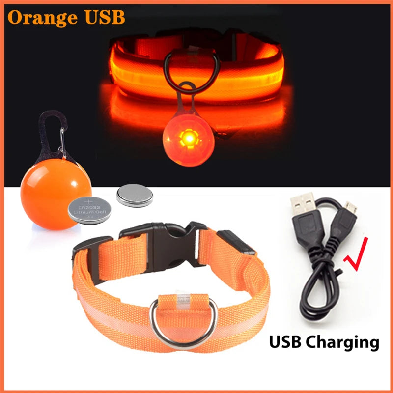 LED Dog Collar — Rechargeable 3-Mode Glow Collar for Night Safety