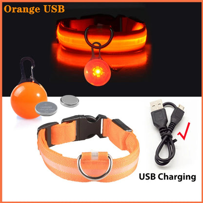 LED Dog Collar — Rechargeable 3-Mode Glow Collar for Night Safety