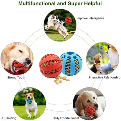 Rubber Chew Ball for Dogs — Treat Dispensing Dental Toy