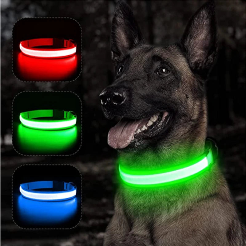 LED Dog Collar — Rechargeable 3-Mode Glow Collar for Night Safety