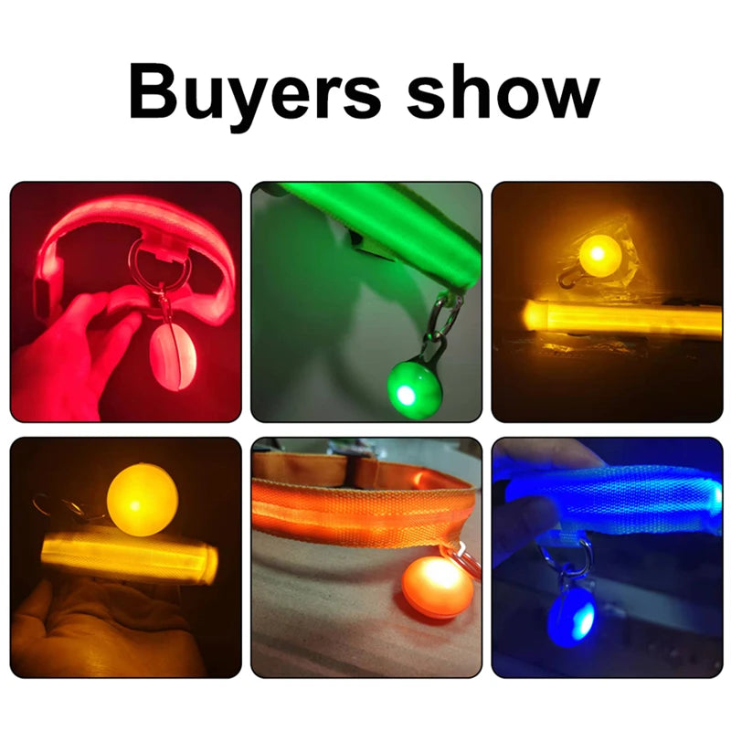 LED Dog Collar — Rechargeable 3-Mode Glow Collar for Night Safety