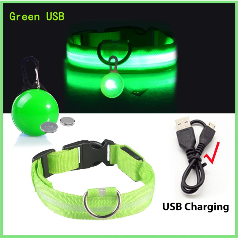 LED Dog Collar — Rechargeable 3-Mode Glow Collar for Night Safety