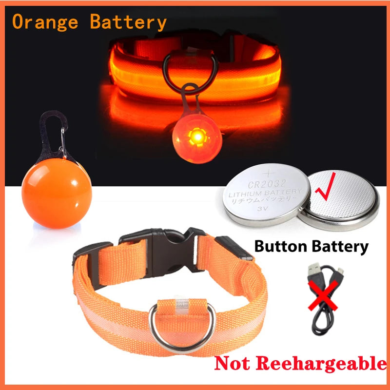 LED Dog Collar — Rechargeable 3-Mode Glow Collar for Night Safety