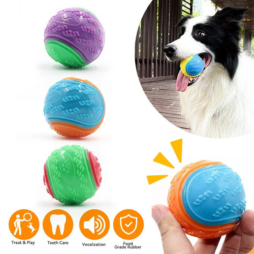 Squeaky TPR Dog Ball — Soft Chew Toy for Teeth Cleaning & Play