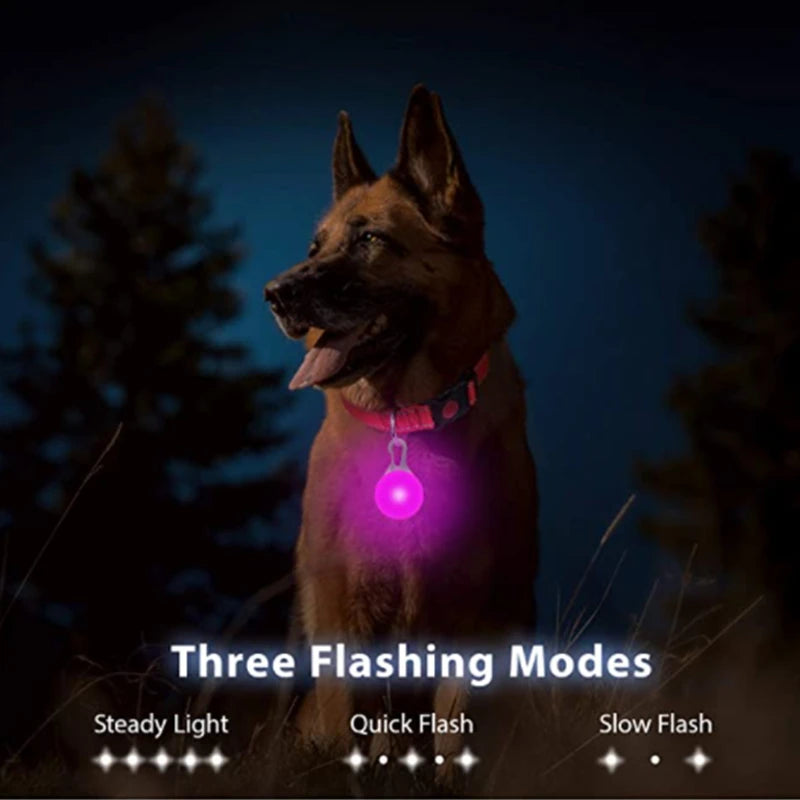 LED Dog Collar — Rechargeable 3-Mode Glow Collar for Night Safety