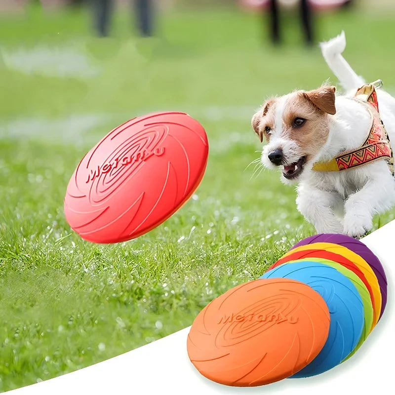 Silicone Flying Disc Dog Toy — Flexible Frisbee for Outdoor Play