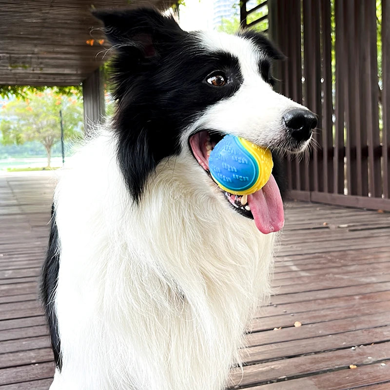 Squeaky TPR Dog Ball — Soft Chew Toy for Teeth Cleaning & Play