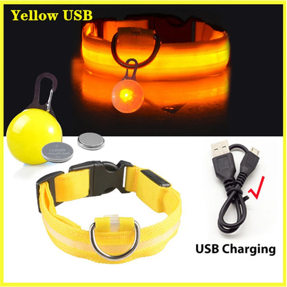 LED Dog Collar — Rechargeable 3-Mode Glow Collar for Night Safety