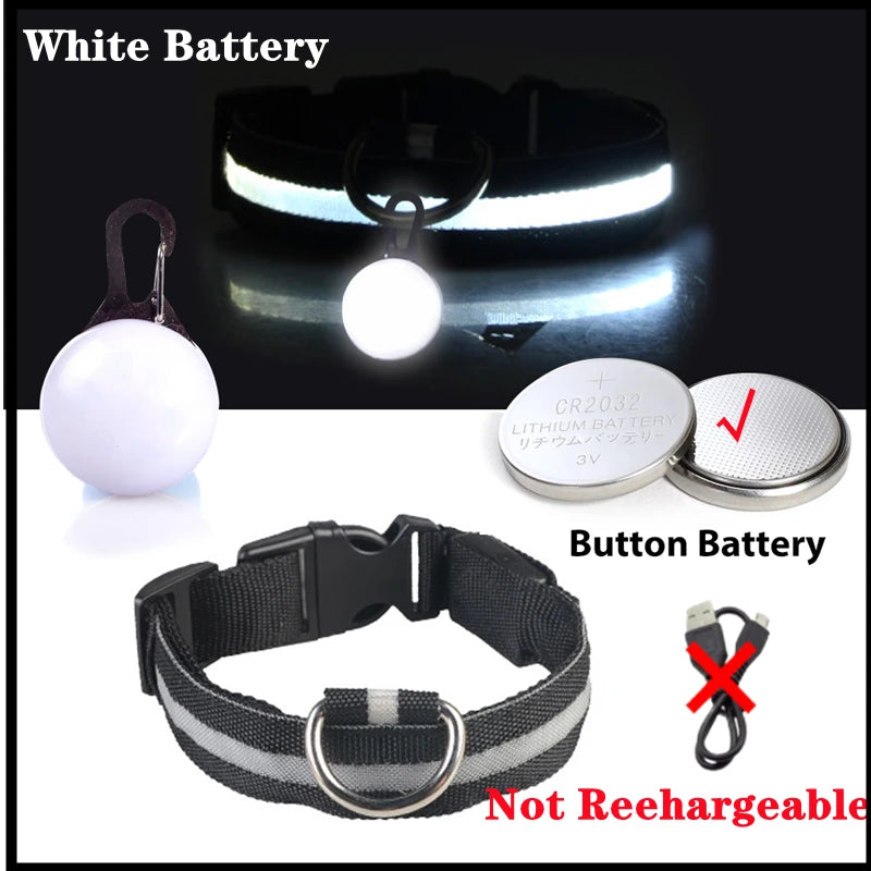 LED Dog Collar — Rechargeable 3-Mode Glow Collar for Night Safety
