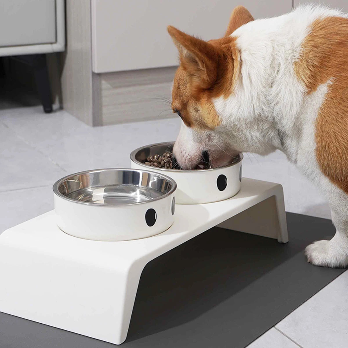 Elevated Double Bowl Stand — Raised Stainless Steel Feeder for Dogs & Cats