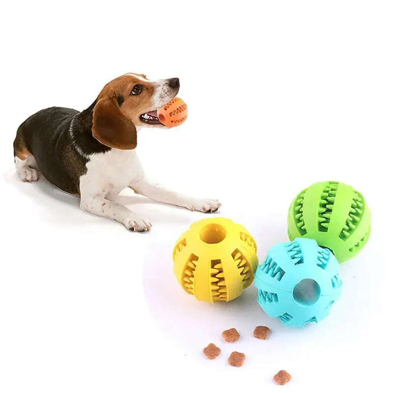 Rubber Chew Ball for Dogs — Treat Dispensing Dental Toy
