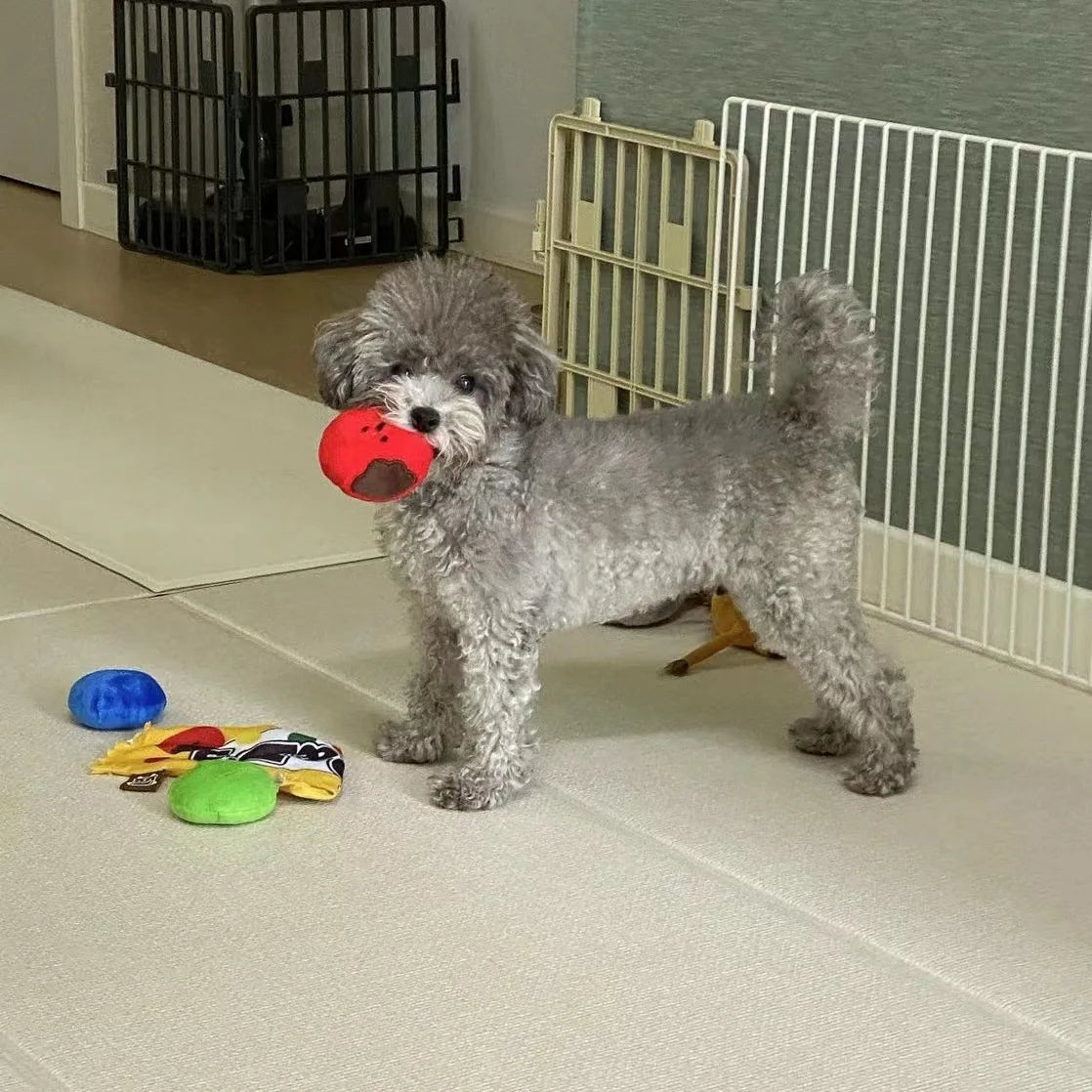 Dog Foraging Mat — Sniff & Seek Slow Feeder for Stress Relief