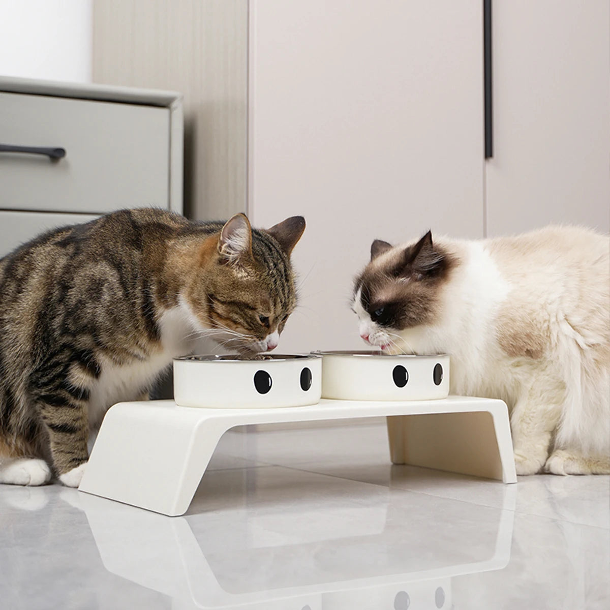 Elevated Double Bowl Stand — Raised Stainless Steel Feeder for Dogs & Cats