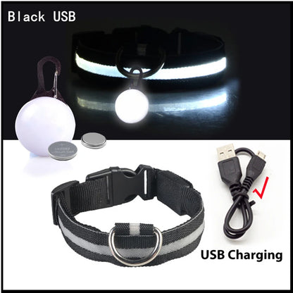 LED Dog Collar — Rechargeable 3-Mode Glow Collar for Night Safety