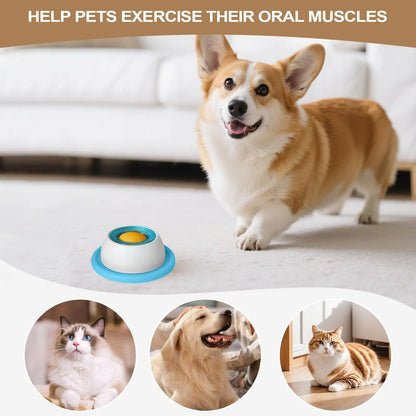 Dog Lick Toy — Slow Feeder Boredom Buster for Puppies & Cats