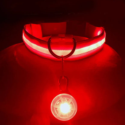 LED Dog Collar — Rechargeable 3-Mode Glow Collar for Night Safety