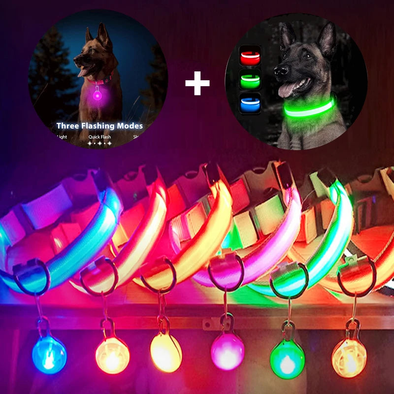 LED Dog Collar — Rechargeable 3-Mode Glow Collar for Night Safety