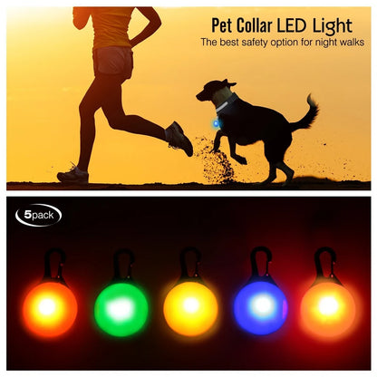 LED Dog Collar — Rechargeable 3-Mode Glow Collar for Night Safety