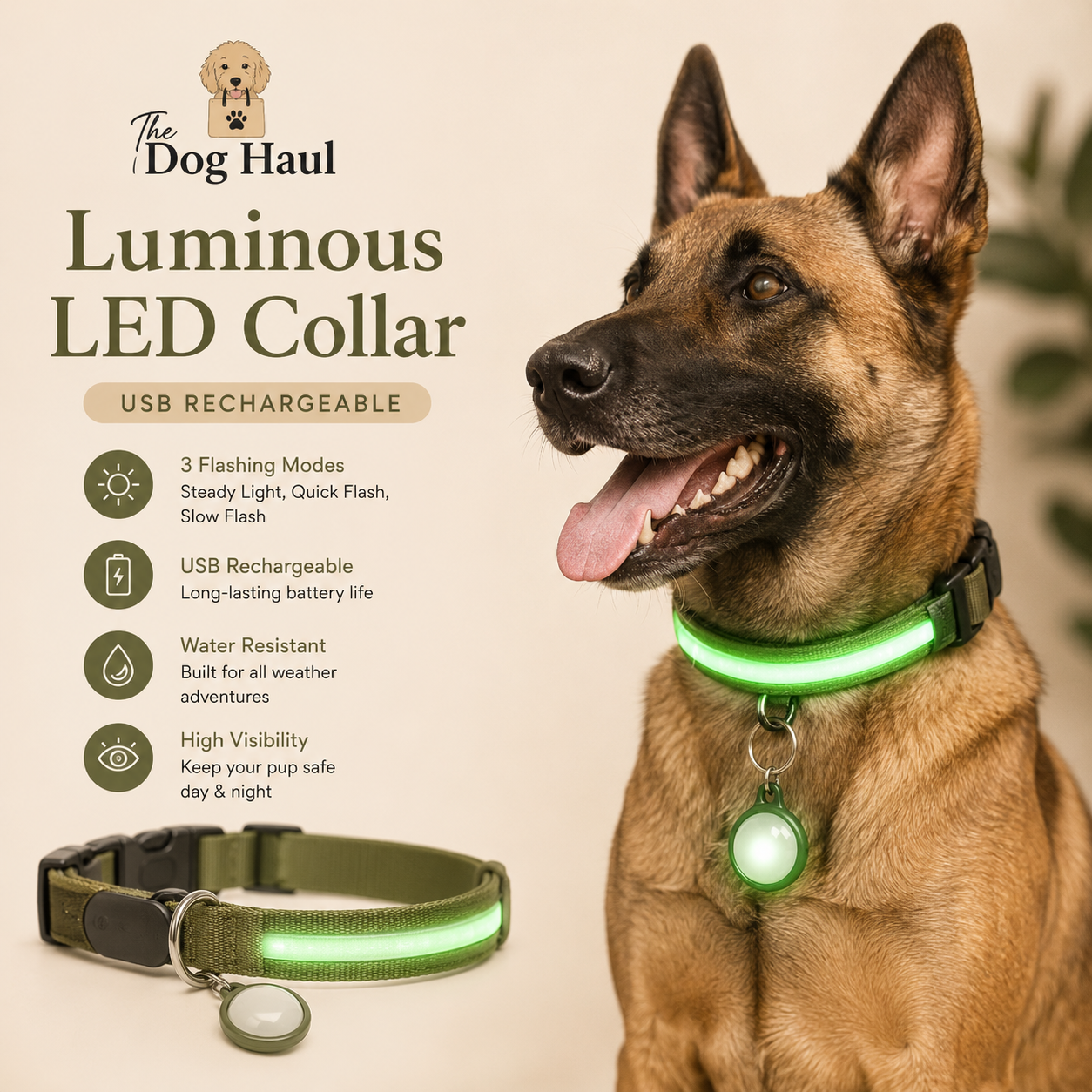 LED Dog Collar — Rechargeable 3-Mode Glow Collar for Night Safety