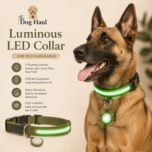 LED Dog Collar — Rechargeable 3-Mode Glow Collar for Night Safety